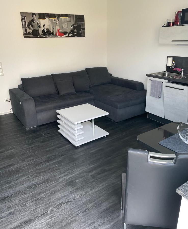 Apartments Saaldorf-Ferienhaus Mit 6 Apartments 45Qm-120Qm Direkt Am Thueringer Meer-Bleilochtalsperre Bad Lobenstein Buitenkant foto