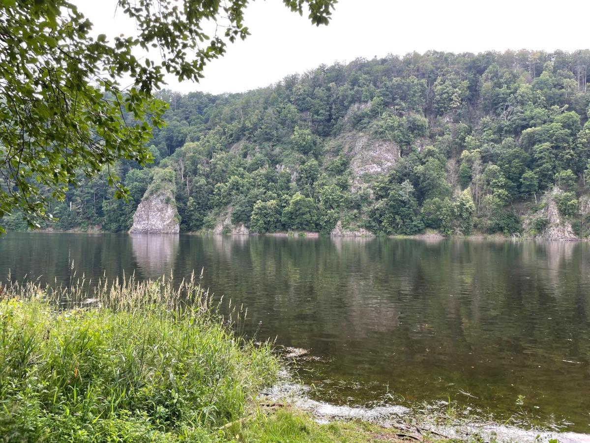 Apartments Saaldorf-Ferienhaus Mit 6 Apartments 45Qm-120Qm Direkt Am Thueringer Meer-Bleilochtalsperre Bad Lobenstein Buitenkant foto