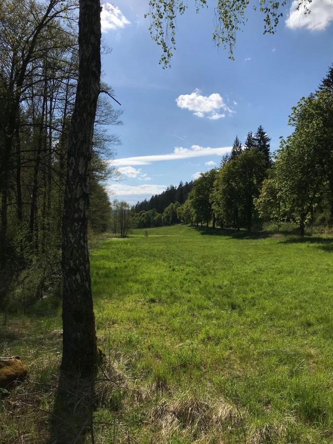 Apartments Saaldorf-Ferienhaus Mit 6 Apartments 45Qm-120Qm Direkt Am Thueringer Meer-Bleilochtalsperre Bad Lobenstein Buitenkant foto