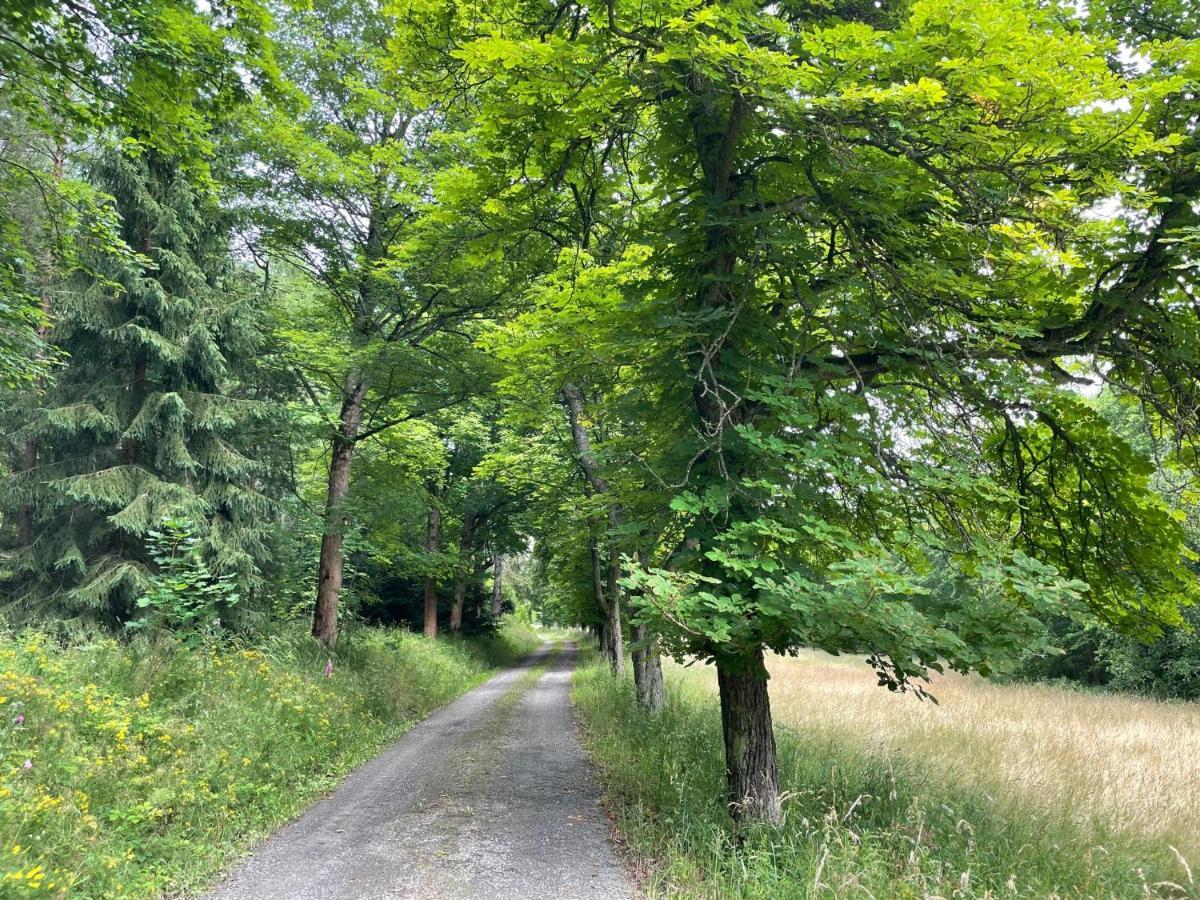 Apartments Saaldorf-Ferienhaus Mit 6 Apartments 45Qm-120Qm Direkt Am Thueringer Meer-Bleilochtalsperre Bad Lobenstein Buitenkant foto