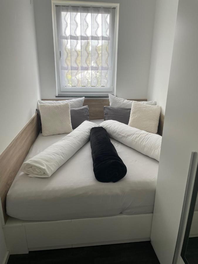Apartments Saaldorf-Ferienhaus Mit 6 Apartments 45Qm-120Qm Direkt Am Thueringer Meer-Bleilochtalsperre Bad Lobenstein Buitenkant foto